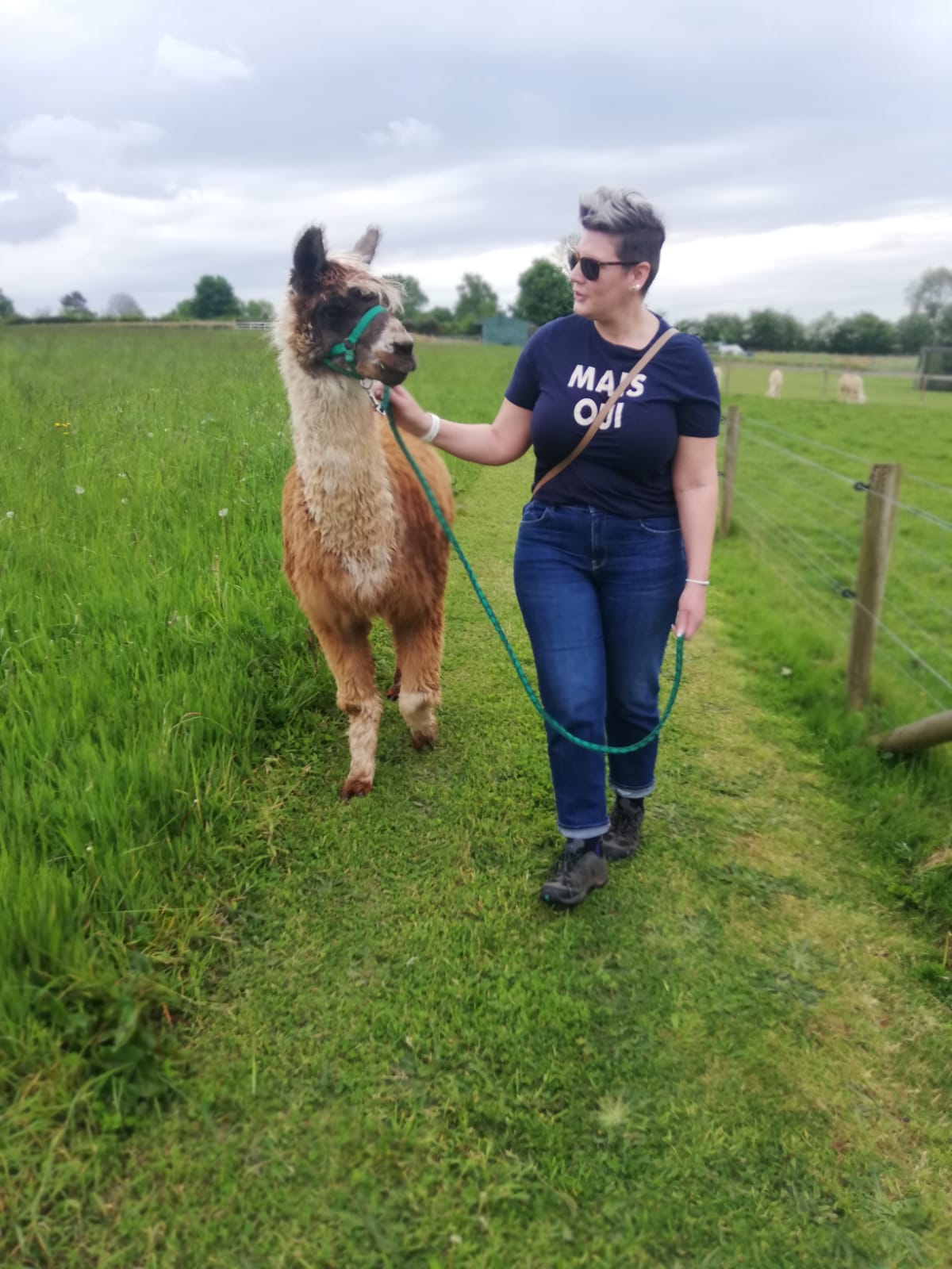 The Severn Valley Complete Maxi Farm Trek
