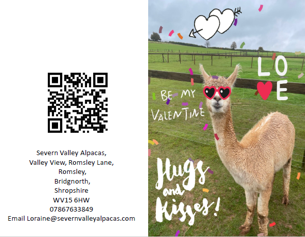 Severn Valley Alpacas Gift Vouchers