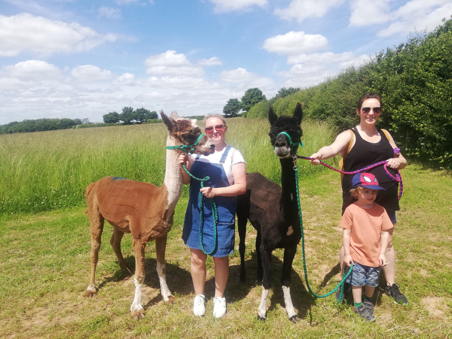 Countryside Trail Trek