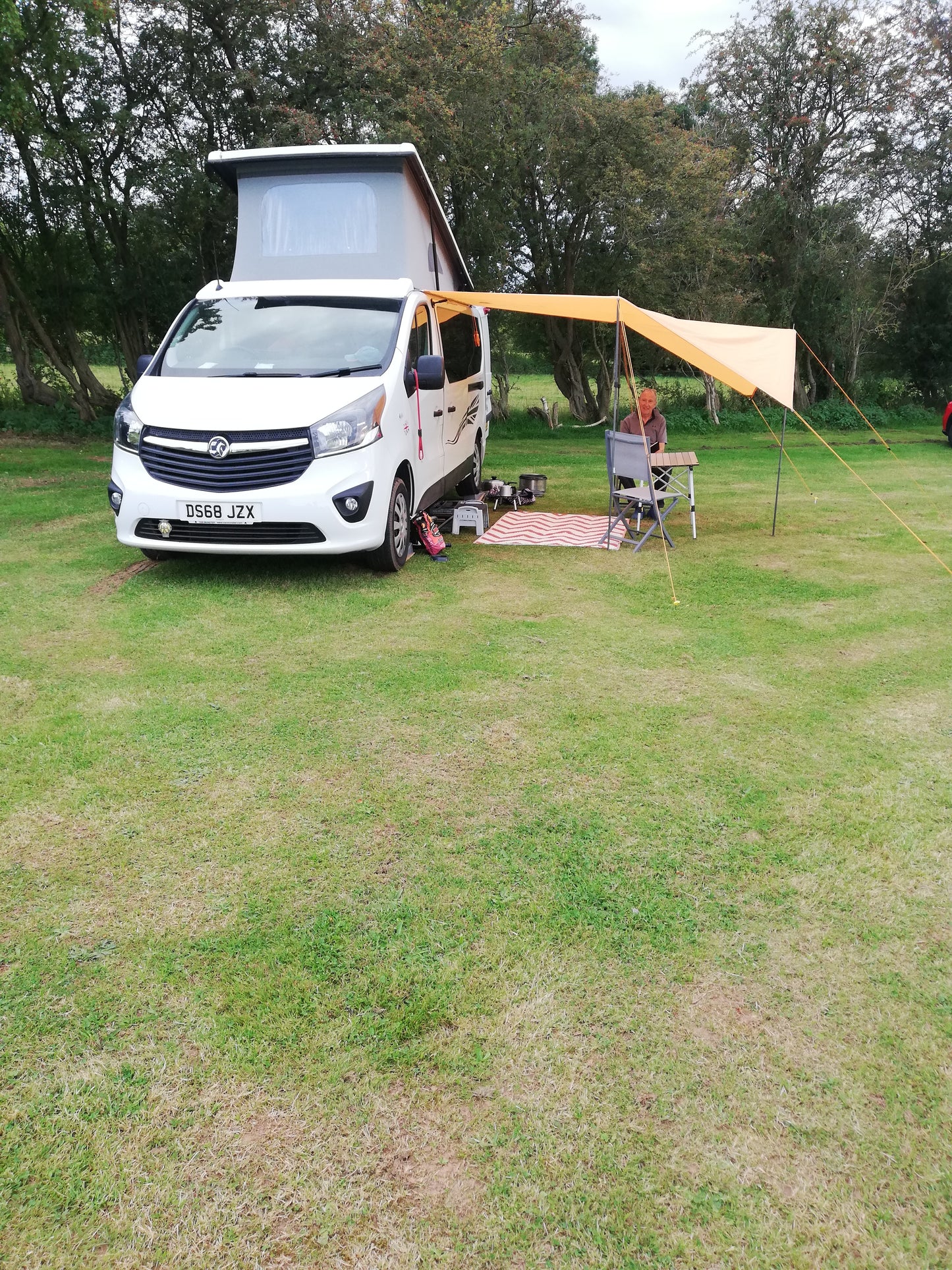 Alpaca camping
