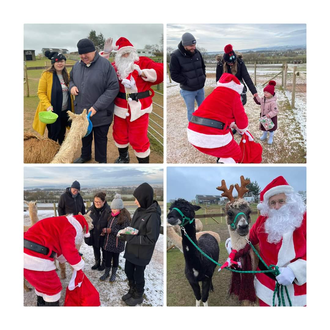 2025 Christmas Experience! Meet  Santa & The Alpacadeers