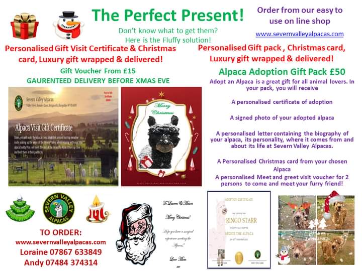 2025 Christmas Experience! Meet  Santa & The Alpacadeers