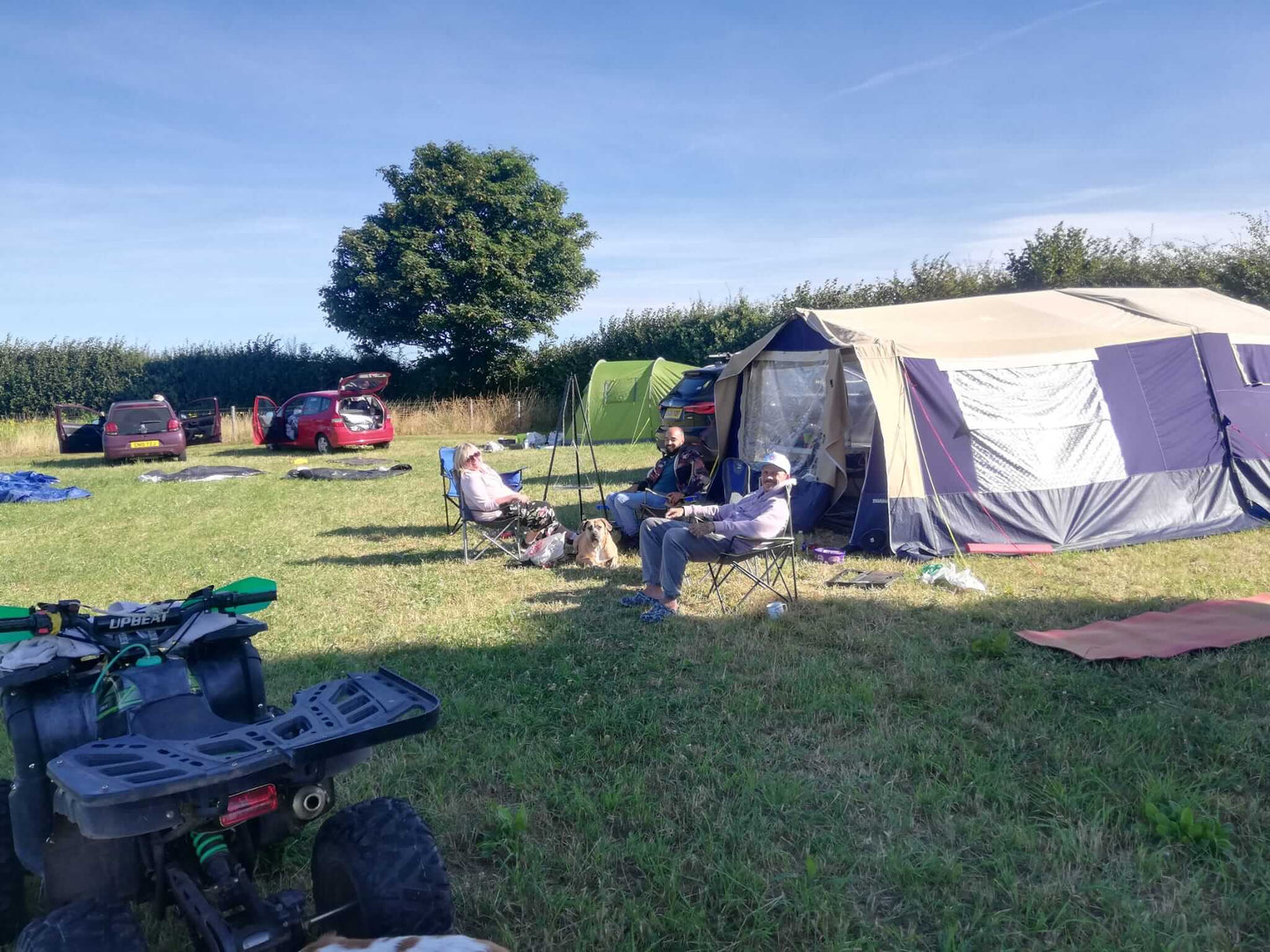 Alpaca camping