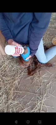 Mummy Loraine bottle feeding baby Mango