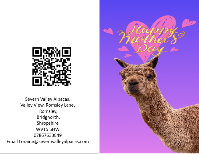 Severn Valley Alpacas Gift Vouchers