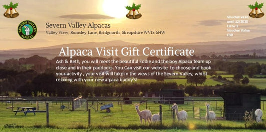 Severn Valley Alpacas Gift Vouchers