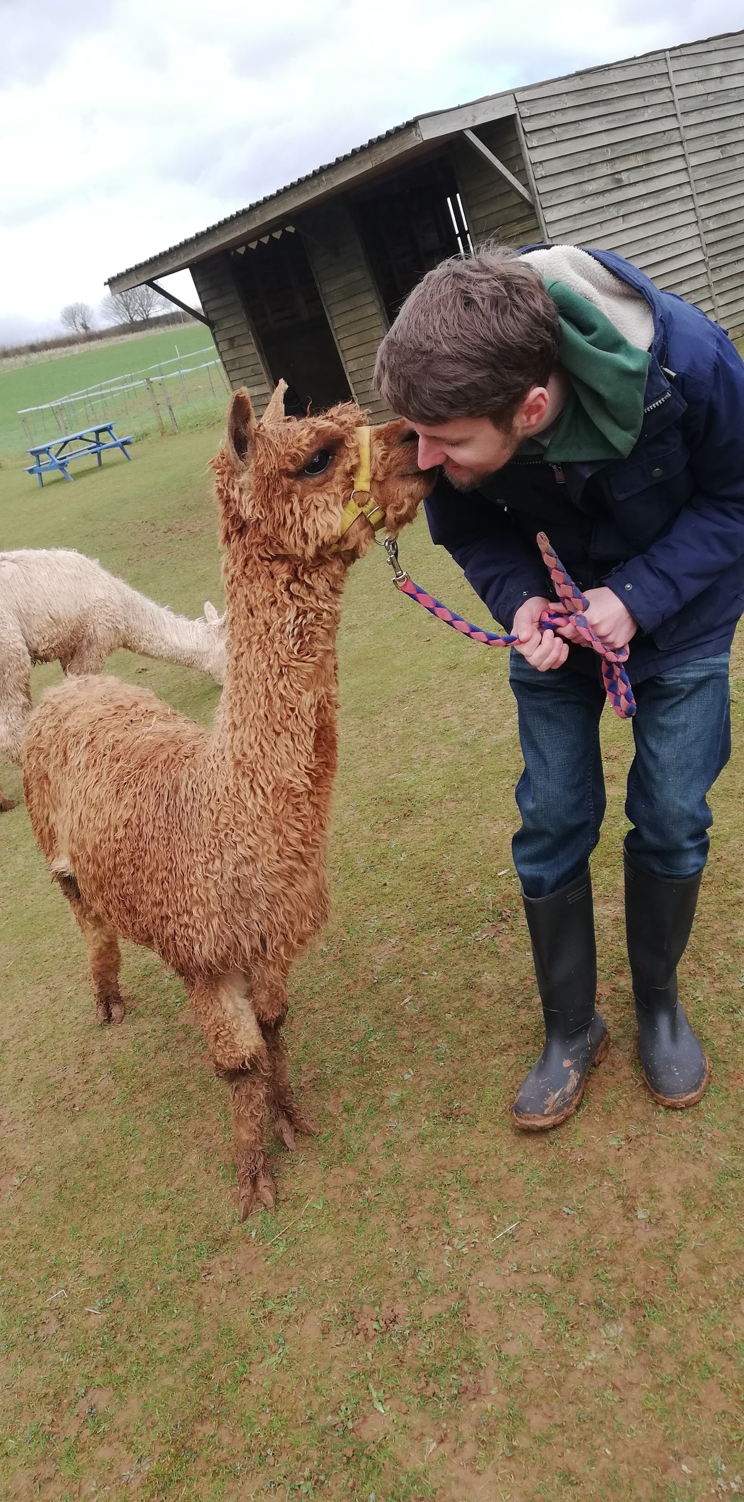 The Severn Valley Complete Maxi Farm Trek