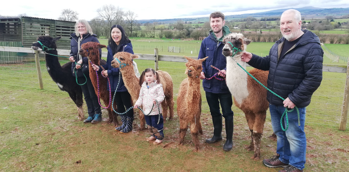 The Severn Valley Complete Maxi Farm Trek