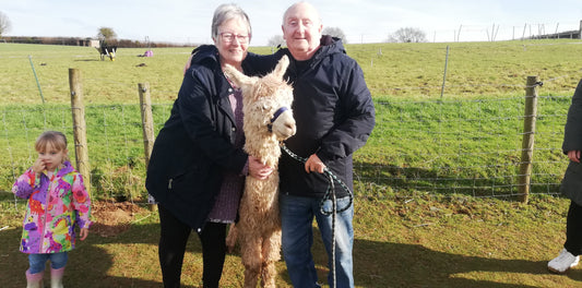 Children & Family Alpaca Farm Education Experience & Mini Trek, Suitable for all ages! meet the baby Alpacas as well including Mango our famous one eyed Alpaca who appeared on the B.B.C News!
