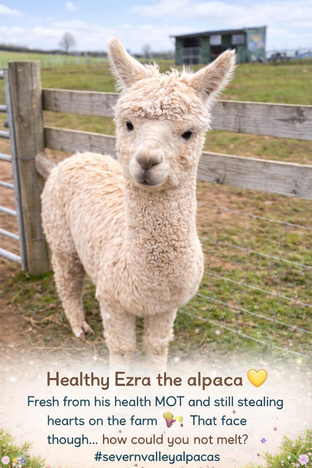 New Year 2026 Meet Trevor, Ronnie at a  Get Fit & Wellbeing Visit