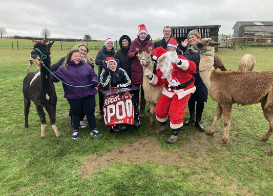 Christmas Experience! Meet  Santa & The Alpacadeers