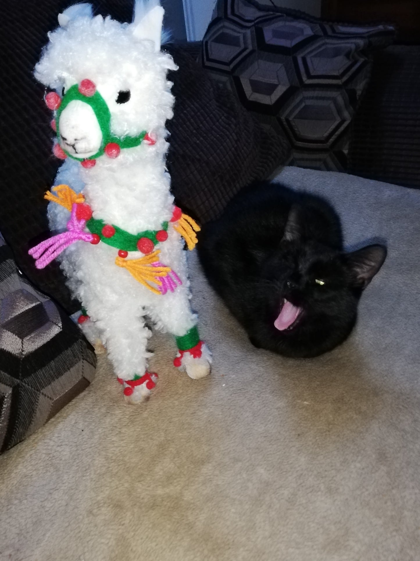 Rosemary my one eyed cat friend saying hello to the Alpaca toy!