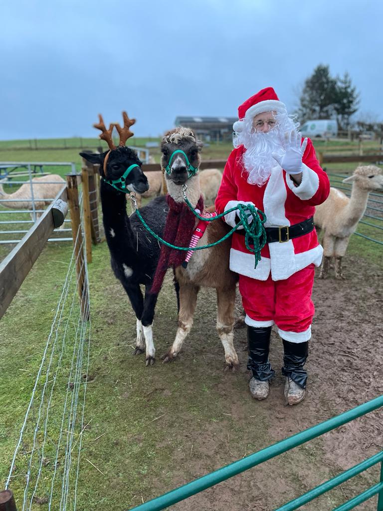 Christmas Experience! Meet  Santa & The Alpacadeers