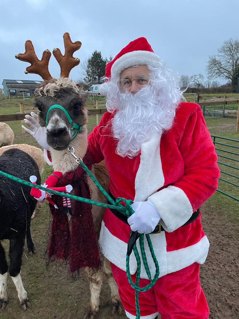 Christmas Experience! Meet  Santa & The Alpacadeers