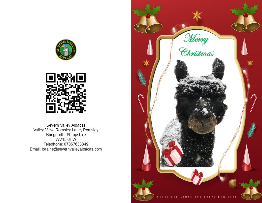 Severn Valley Alpacas Gift Vouchers