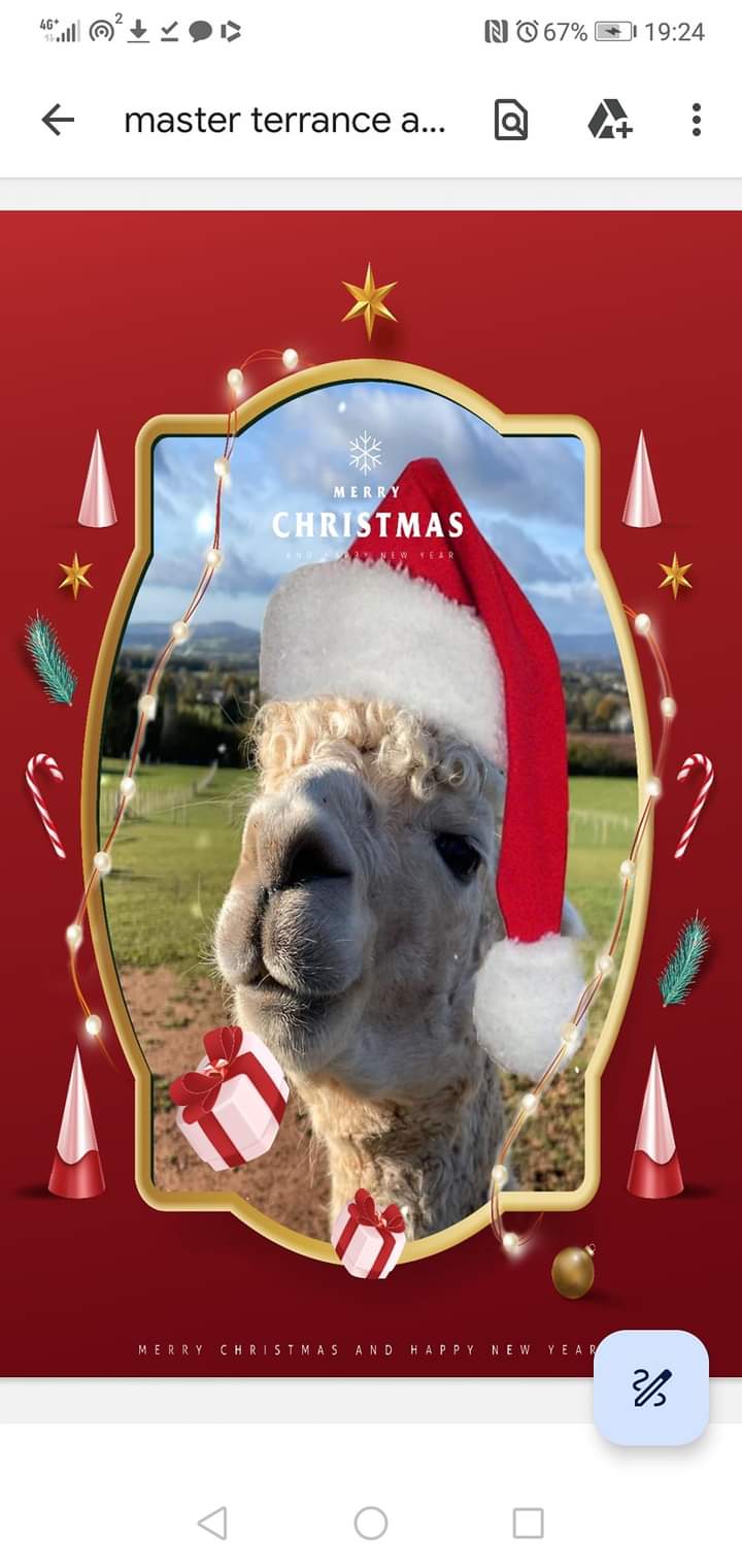 Christmas Experience! Meet  Santa & The Alpacadeers