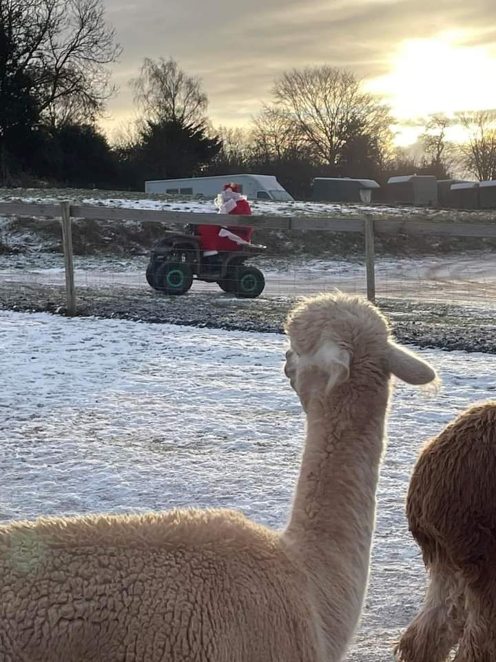 Christmas Experience! Meet  Santa & The Alpacadeers