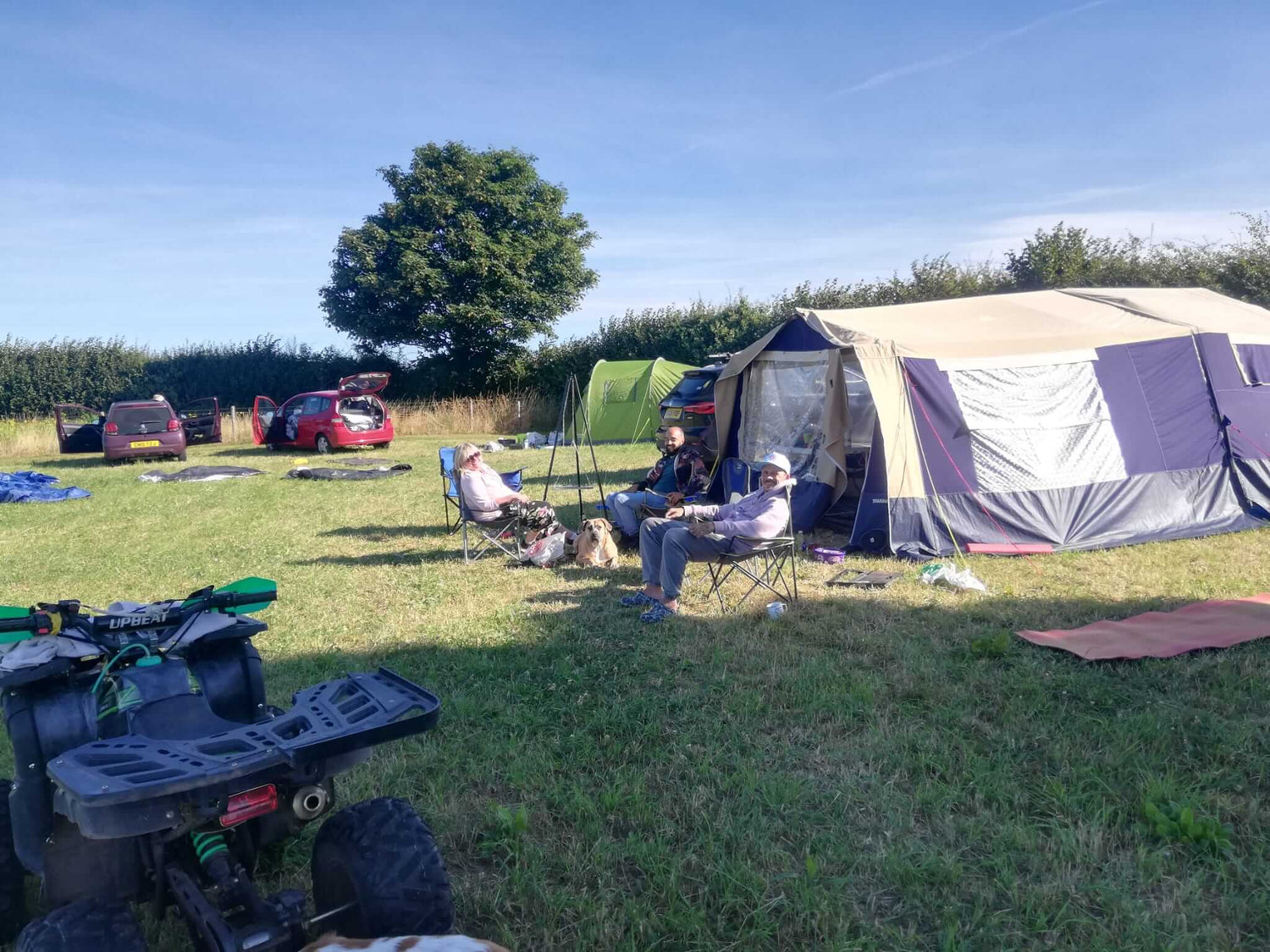 alpaca camping Alpaca camping – Severn Valley Alpacas